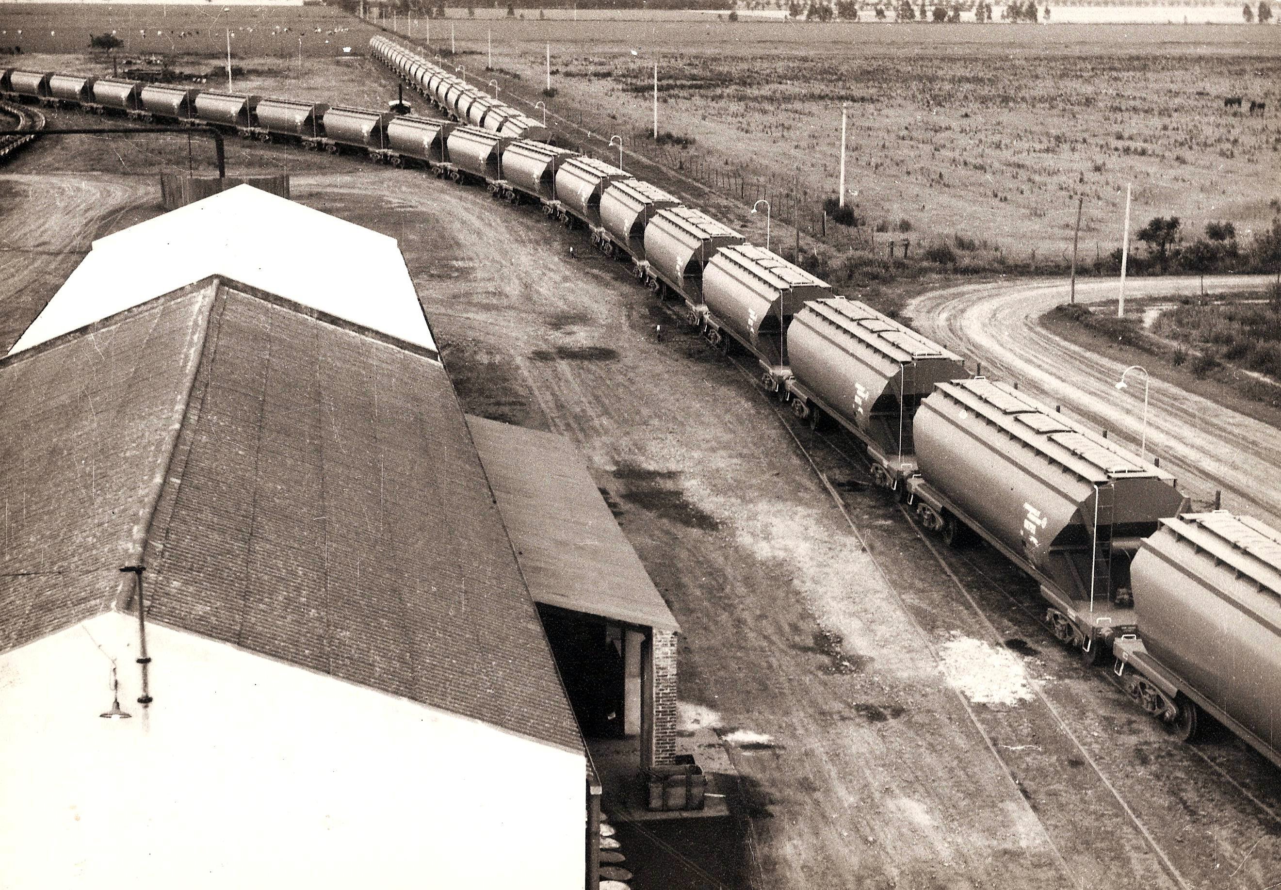 Imagen antigua de trabajadores de la planta